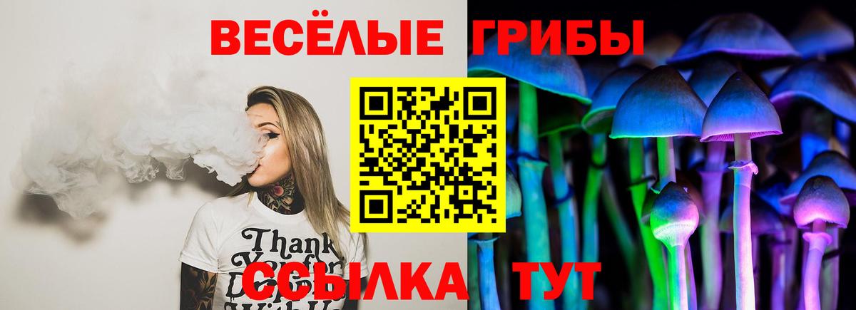 Галлюциногенные грибы мицелий Протвино